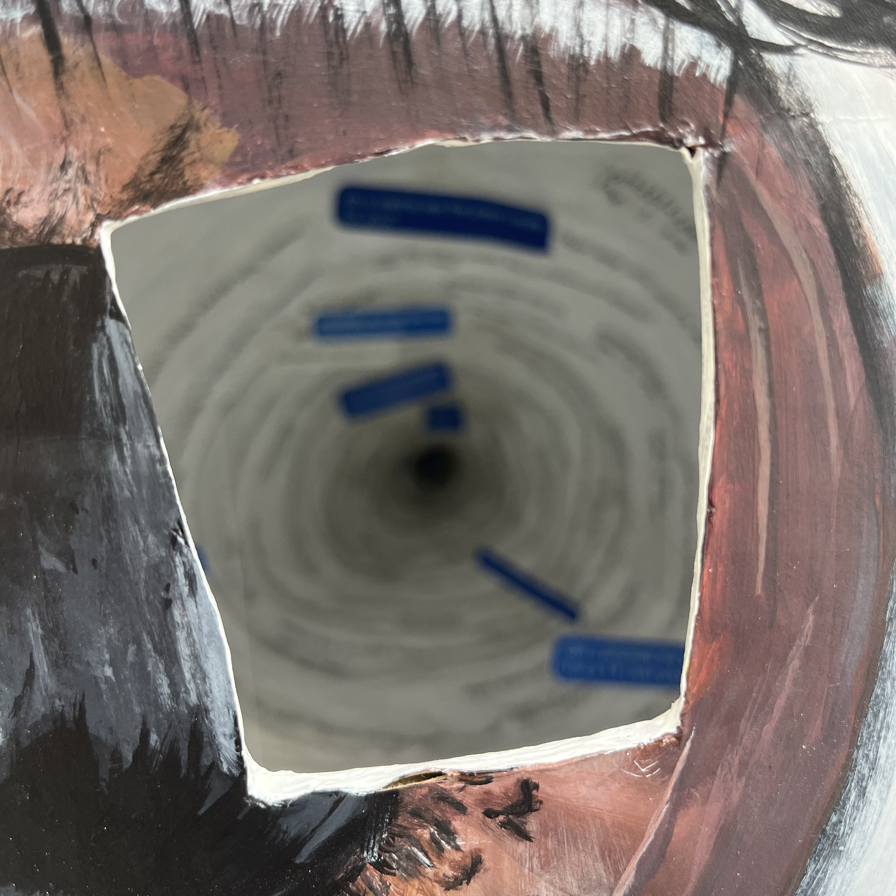 Zoomed in picture of brown painted eye, reveals white tunnel with writing on sides in carved rectangle